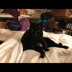 Meet your Posher, Meredith